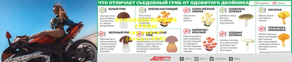 гашишное масло Заводоуковск